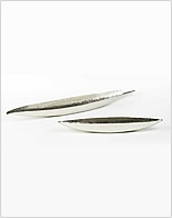 Lambert Schalen Canoo