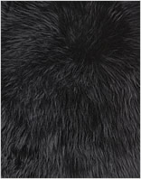 Neuseeland Teppich Classic - Black