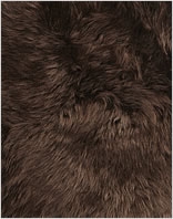 Neuseeland Teppich Classic - Chocolate