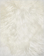 Neuseeland Teppich Classic - Ivory