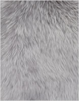 Neuseeland Teppich Trend -  Light Grey