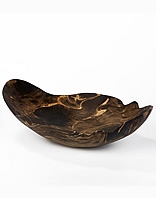 Lambert Schale Xaver