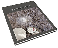 Lambert Buch Individuals